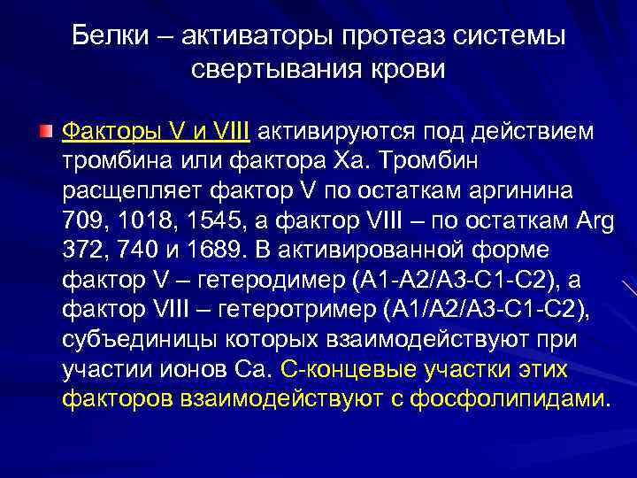 Белки – активаторы протеаз системы свертывания крови Факторы V и VIII активируются под действием