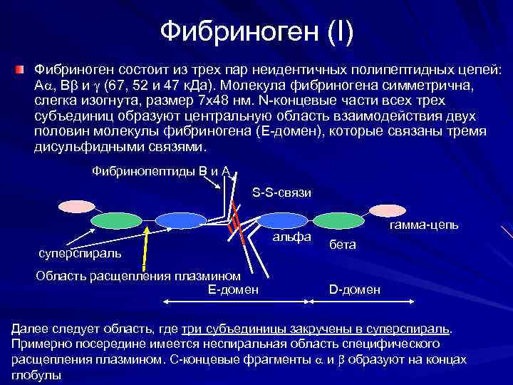 Фибриноген (I) Фибриноген состоит из трех пар неидентичных полипептидных цепей: А , В и