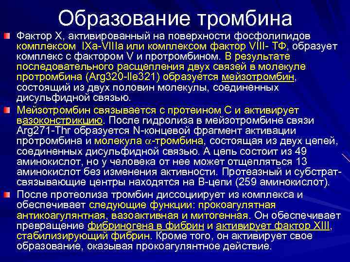 Образование тромбина Фактор X, активированный на поверхности фосфолипидов комплексом IXa-VIIIa или комплексом фактор VIII-