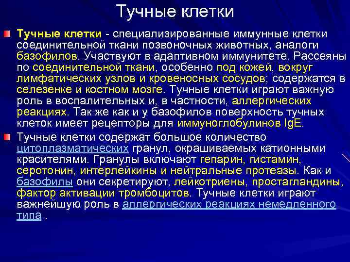 Тучные клетки - специализированные иммунные клетки соединительной ткани позвоночных животных, аналоги базофилов. Участвуют в