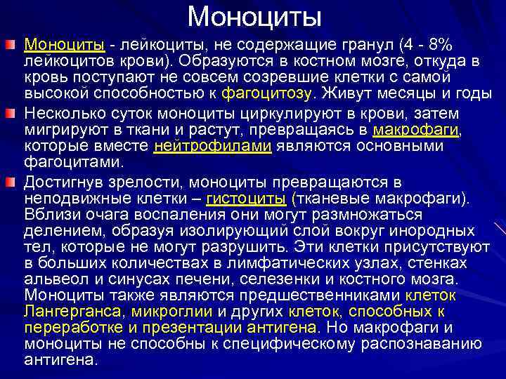 Моноциты - лейкоциты, не содержащие гранул (4 - 8% - лейкоцитов крови). Образуются в