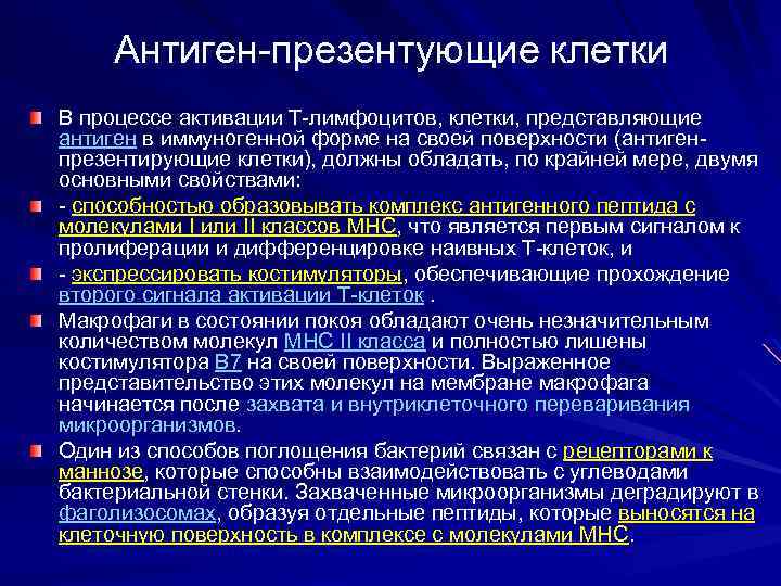 Антиген-презентующие клетки В процессе активации T-лимфоцитов, клетки, представляющие антиген в иммуногенной форме на своей