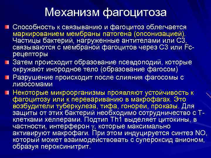 Механизм фагоцитоза Способность к связыванию и фагоцитоз облегчается маркированием мембраны патогена (опсонизацией). Частицы бактерий,