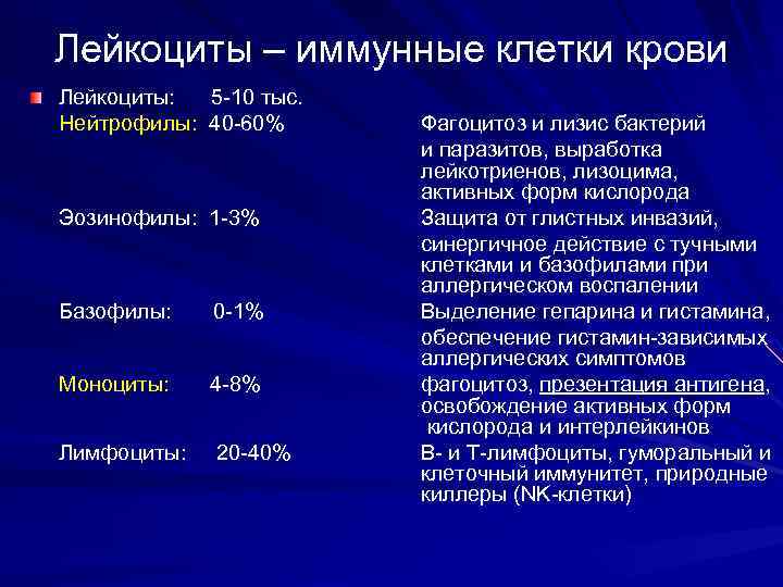 Лейкоциты – иммунные клетки крови Лейкоциты: 5 -10 тыс. Нейтрофилы: 40 -60% Фагоцитоз и