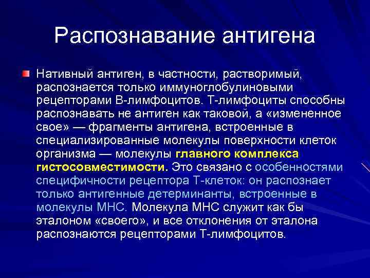 Распознавание антигена Нативный антиген, в частности, растворимый, распознается только иммуноглобулиновыми рецепторами В-лимфоцитов. Т-лимфоциты способны