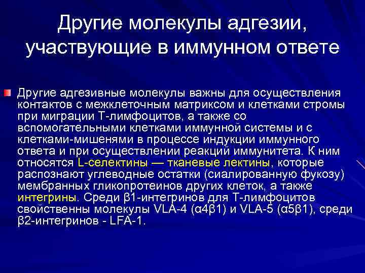 Другие молекулы адгезии, участвующие в иммунном ответе Другие адгезивные молекулы важны для осуществления контактов