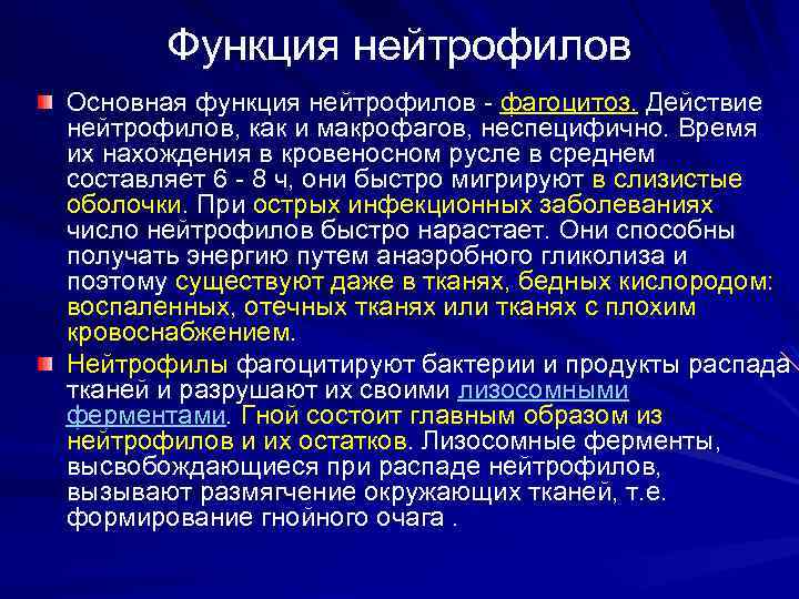 Функция нейтрофилов Основная функция нейтрофилов - фагоцитоз. Действие нейтрофилов, как и макрофагов, неспецифично. Время