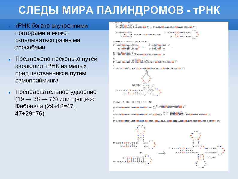СЛЕДЫ МИРА ПАЛИНДРОМОВ - т. РНК богата внутренними повторами и может складываться разными способами