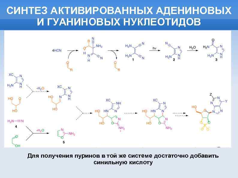 СИНТЕЗ АКТИВИРОВАННЫХ АДЕНИНОВЫХ И ГУАНИНОВЫХ НУКЛЕОТИДОВ Для получения пуринов в той же системе достаточно