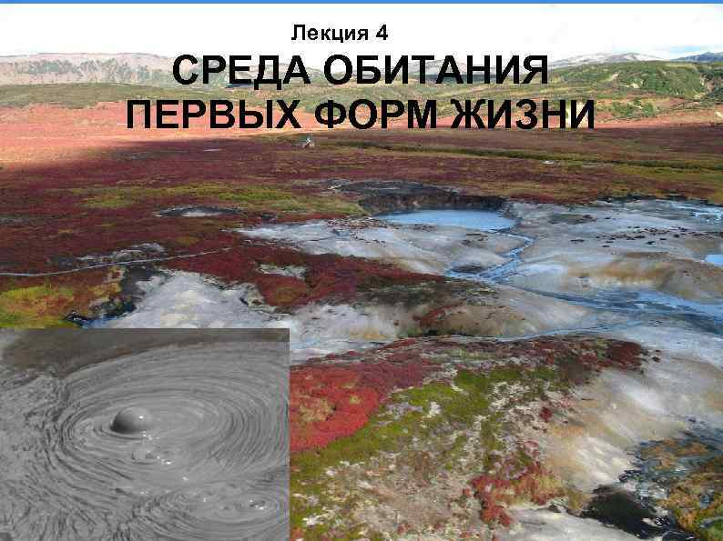 Лекция 4 СРЕДА ОБИТАНИЯ ПЕРВЫХ ФОРМ ЖИЗНИ 