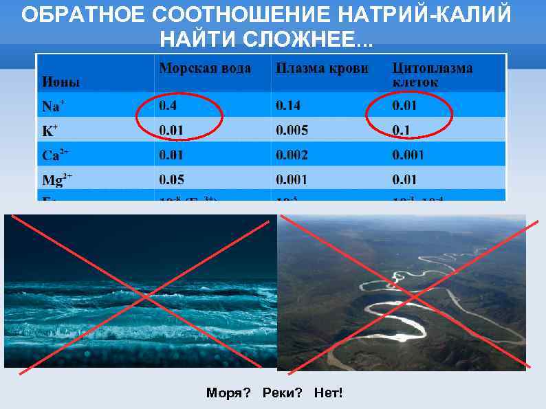 ОБРАТНОЕ СООТНОШЕНИЕ НАТРИЙ-КАЛИЙ НАЙТИ СЛОЖНЕЕ. . . Моря? Реки? Нет! 