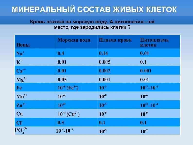 МИНЕРАЛЬНЫЙ СОСТАВ ЖИВЫХ КЛЕТОК Кровь похожа на морскую воду. А цитоплазма – на место,