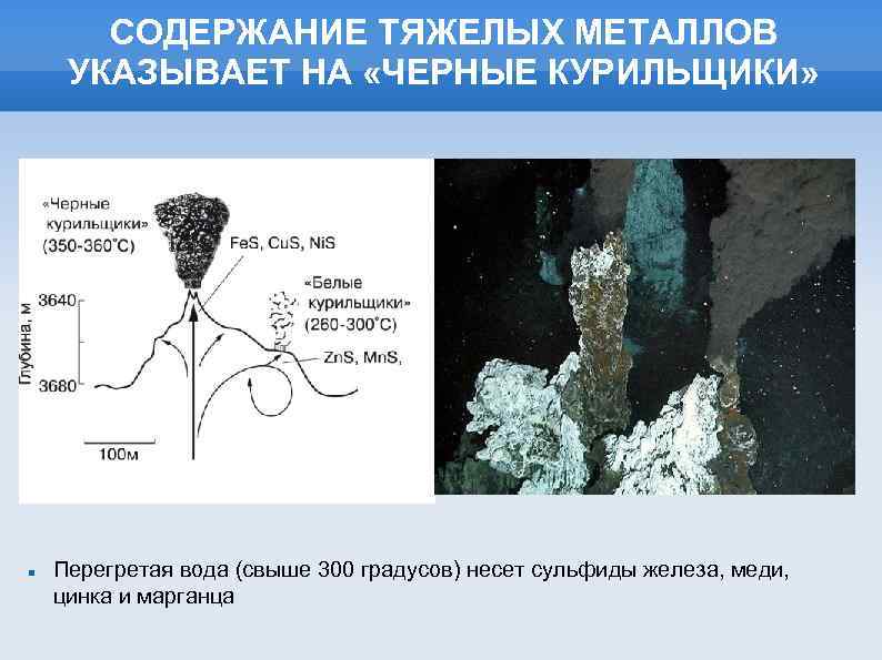 СОДЕРЖАНИЕ ТЯЖЕЛЫХ МЕТАЛЛОВ УКАЗЫВАЕТ НА «ЧЕРНЫЕ КУРИЛЬЩИКИ» Перегретая вода (свыше 300 градусов) несет сульфиды