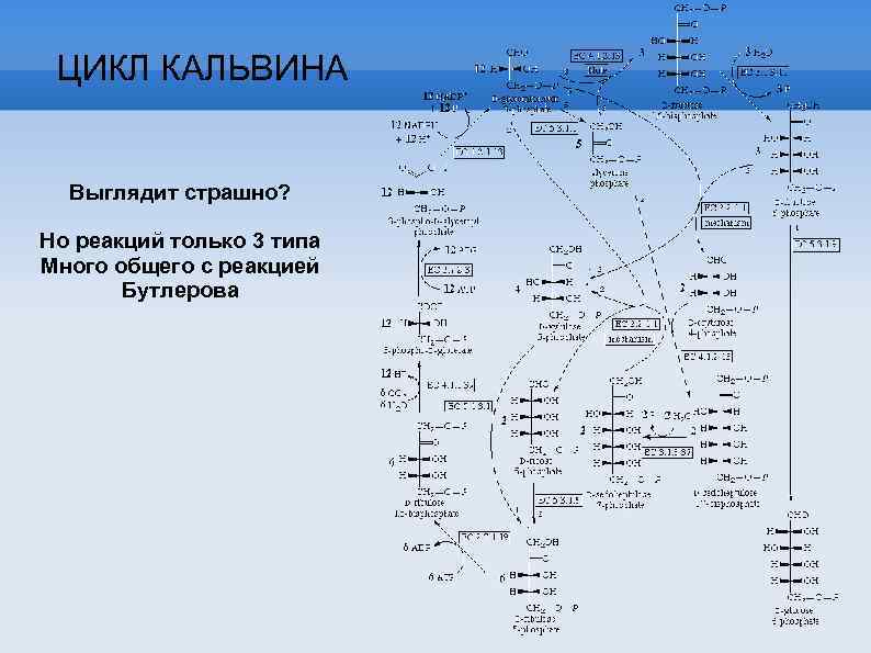 ЦИКЛ КАЛЬВИНА Выглядит страшно? Но реакций только 3 типа Много общего с реакцией Бутлерова