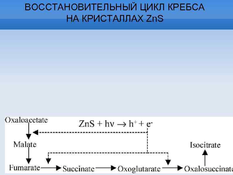 ВОССТАНОВИТЕЛЬНЫЙ ЦИКЛ КРЕБСА НА КРИСТАЛЛАХ Zn. S 
