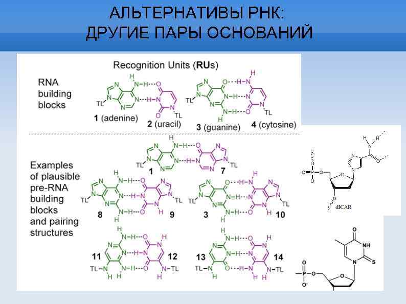 АЛЬТЕРНАТИВЫ РНК: ДРУГИЕ ПАРЫ ОСНОВАНИЙ 