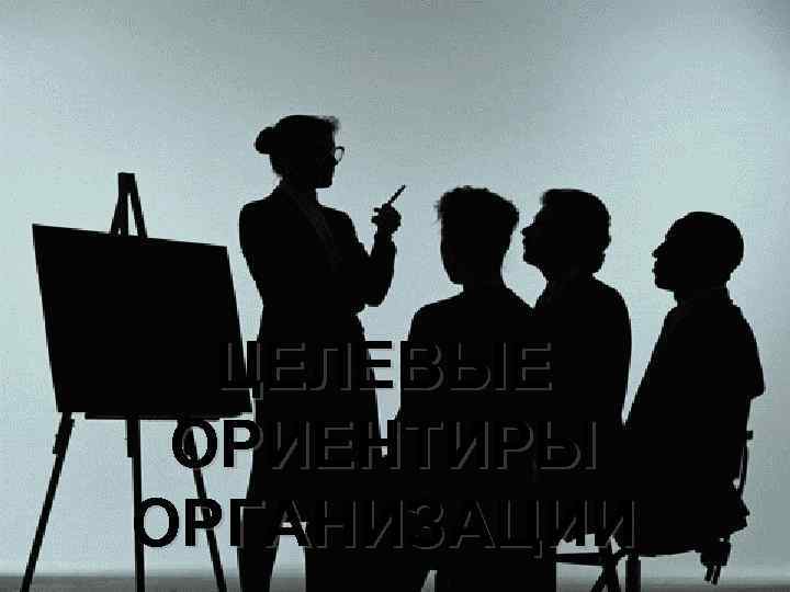 ЦЕЛЕВЫЕ ОРИЕНТИРЫ ОРГАНИЗАЦИИ 