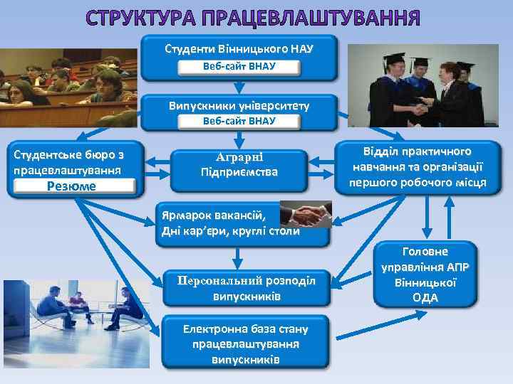 Студенти Вінницького НАУ Веб-сайт ВНАУ Випускники університету Веб-сайт ВНАУ Студентське бюро з працевлаштування Резюме