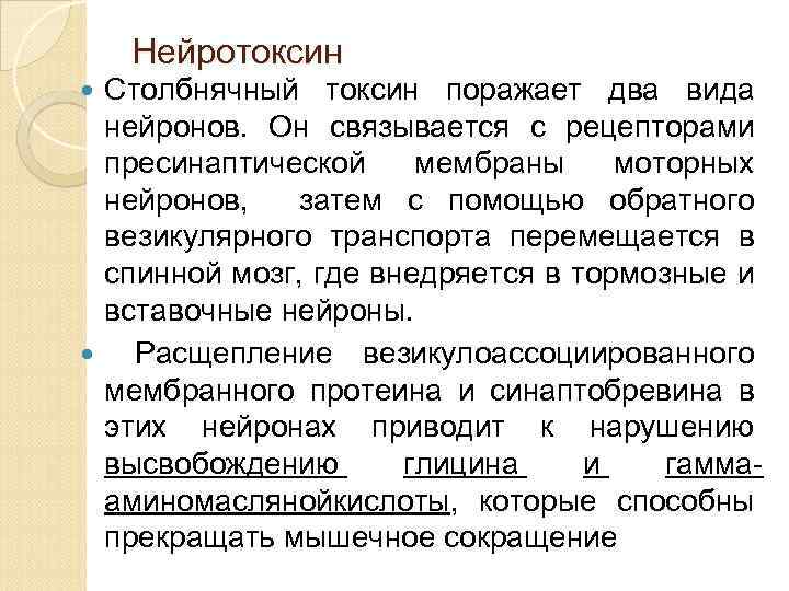 Нейротоксин Столбнячный токсин поражает два вида нейронов. Он связывается с рецепторами пресинаптической мембраны моторных