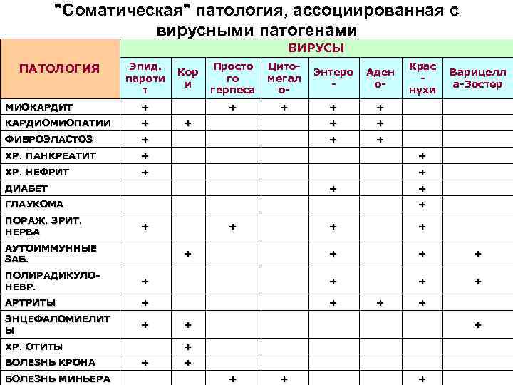 "Соматическая" патология, ассоциированная с вирусными патогенами ВИРУСЫ ПАТОЛОГИЯ Эпид. пароти т Просто го герпеса