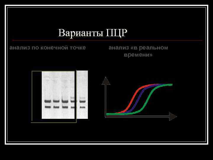 Варианты ПЦР анализ по конечной точке анализ «в реальном времени» 