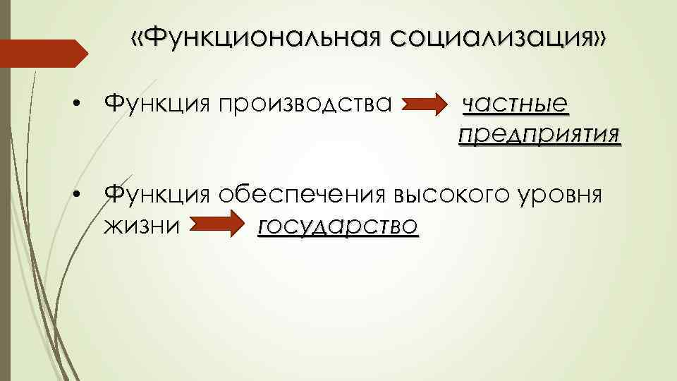  «Функциональная социализация» • Функция производства частные предприятия • Функция обеспечения высокого уровня жизни