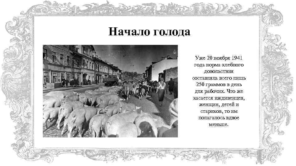 Начало голода Уже 20 ноября 1941 года норма хлебного довольствия составляла всего лишь 250