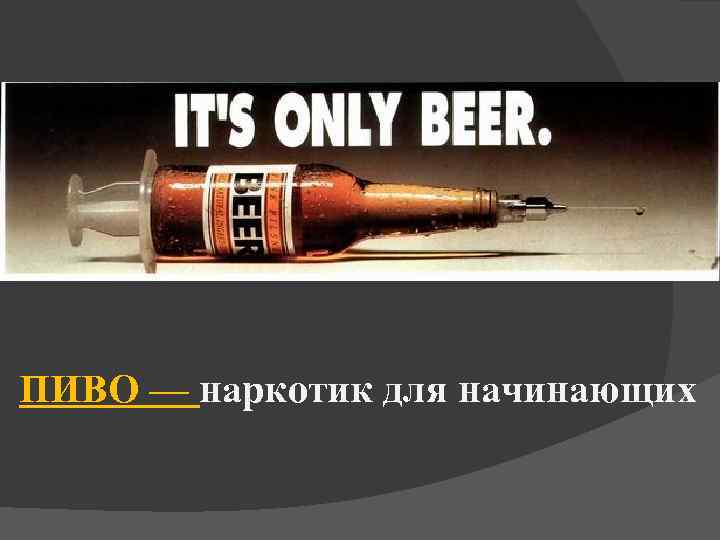 ПИВО — наркотик для начинающих 