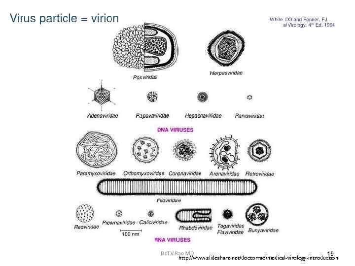 http: //www. slideshare. net/doctorrao/medical-virology-introduction 