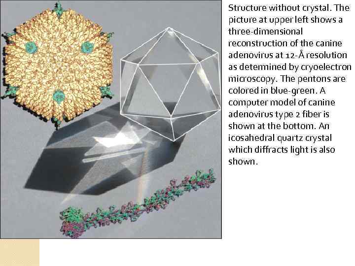  Structure without crystal. The picture at upper left shows a three-dimensional reconstruction of