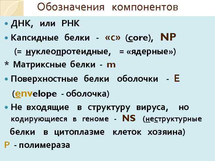 Обозначения компонентов ДНК, или РНК Капсидные белки - «с» (core), NP (= нуклеопротеидные, =