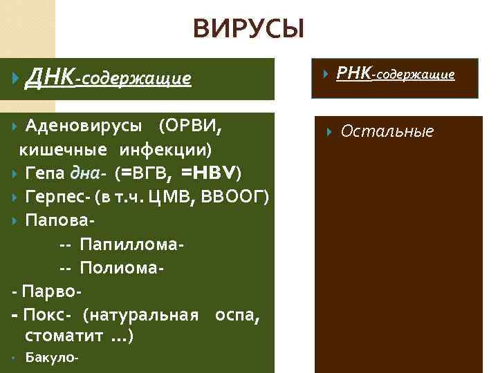 ВИРУСЫ ДНК-содержащие Аденовирусы (ОРВИ, кишечные инфекции) Гепа дна- (=ВГВ, =HBV) Герпес- (в т. ч.