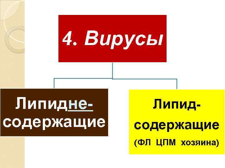 4. Вирусы Липиднесодержащие Липидсодержащие (ФЛ ЦПМ хозяина) 