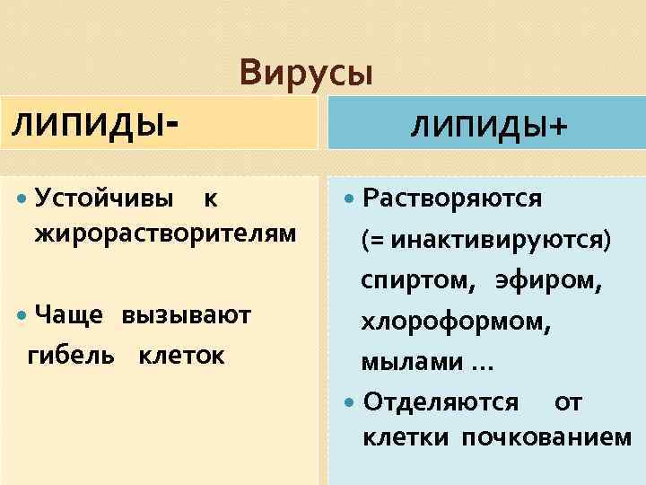 ЛИПИДЫ- Вирусы Устойчивы к жирорастворителям Чаще вызывают гибель клеток ЛИПИДЫ+ Растворяются (= инактивируются) спиртом,