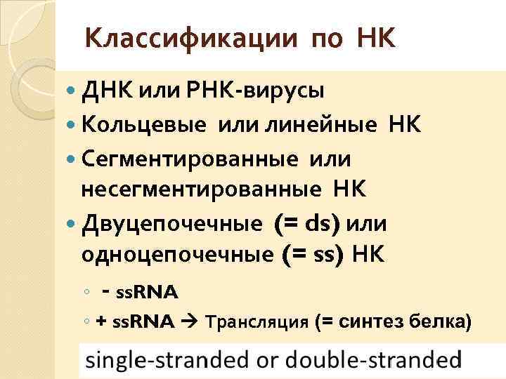 Классификации по НК ДНК или РНК-вирусы Кольцевые или линейные НК Сегментированные или несегментированные НК