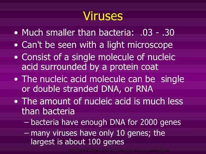 http: //www. slideshare. net/Jolie 11/bacteria-viruses#btn. Last 