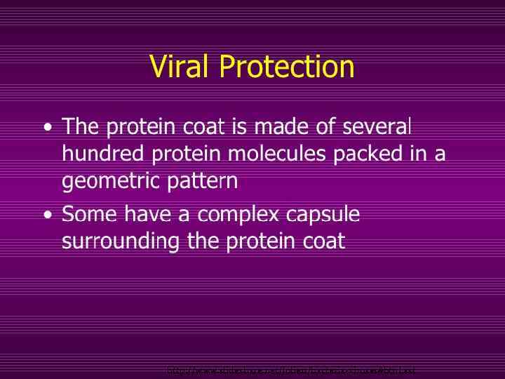 http: //www. slideshare. net/Jolie 11/bacteria-viruses#btn. Last 