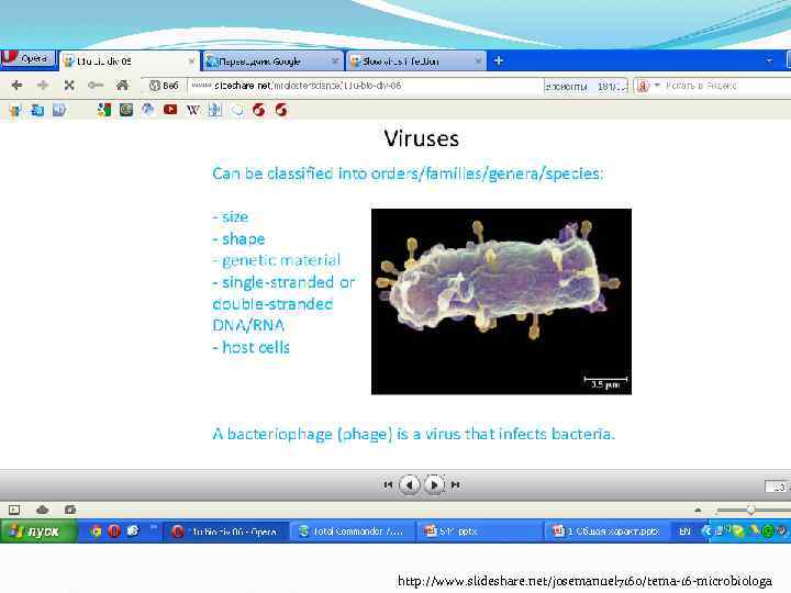 http: //www. slideshare. net/josemanuel 7160/tema-16 -microbiologa 