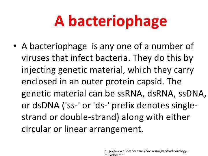 http: //www. slideshare. net/doctorrao/medical-virology- 
