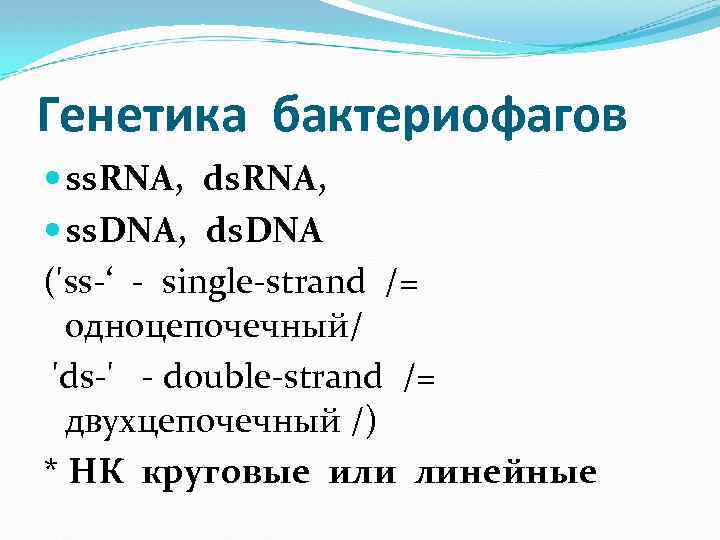 Генетика бактериофагов ss. RNA, ds. RNA, ss. DNA, ds. DNA ('ss-‘ - single-strand /=