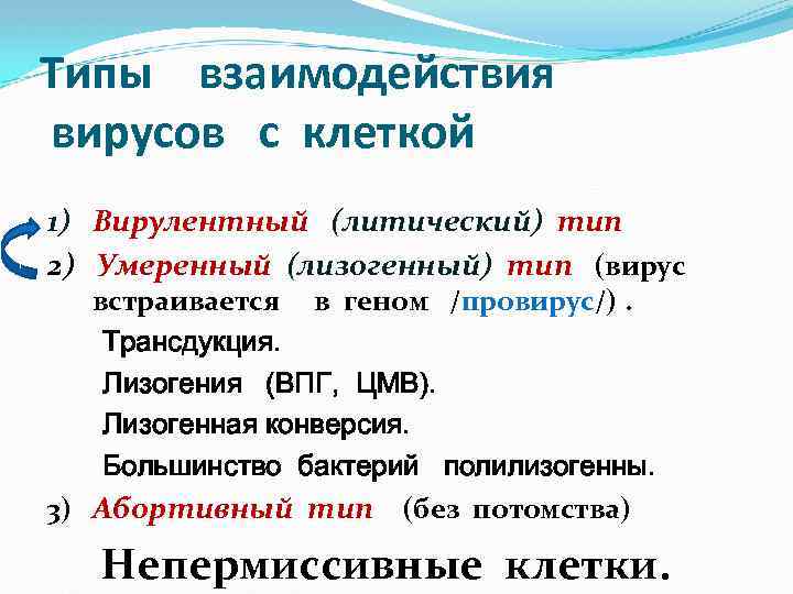 -… Типы взаимодействия вирусов с клеткой 1) Вирулентный (литический) тип 2) Умеренный (лизогенный) тип