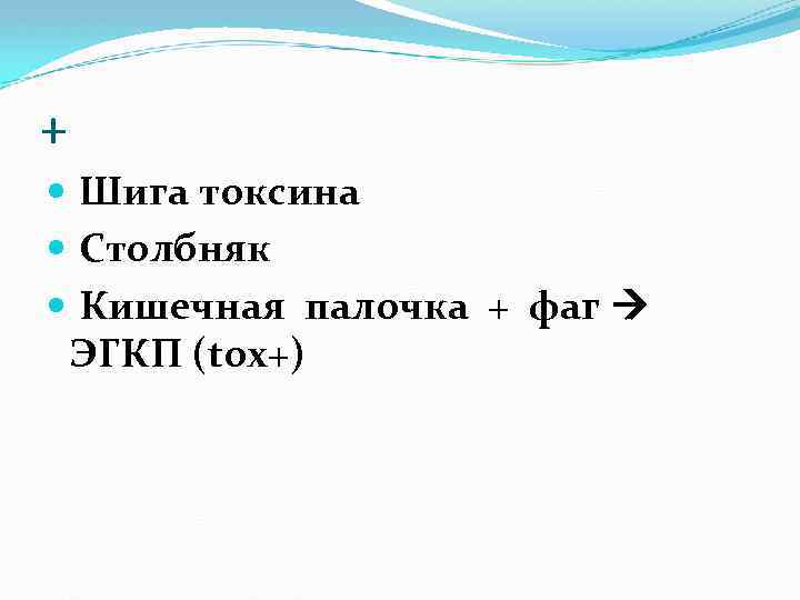 + Шига токсина Столбняк Кишечная палочка + фаг ЭГКП (tox+) 
