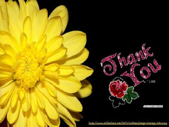 http: //www. slideshare. net/Fa. To. Oo. Maa/phage-therapy-6802754 