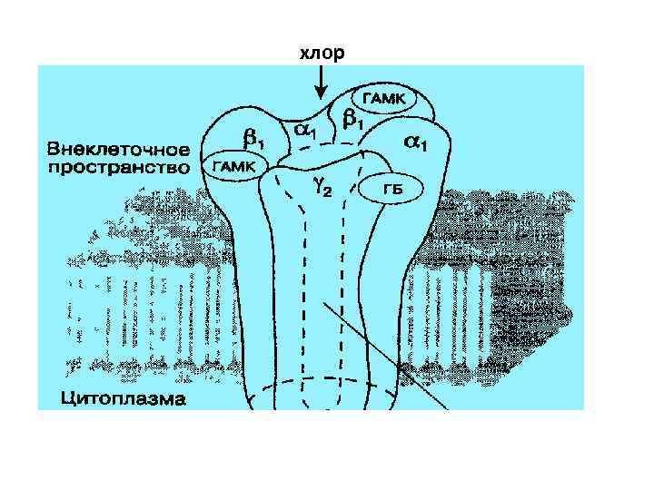 хлор 