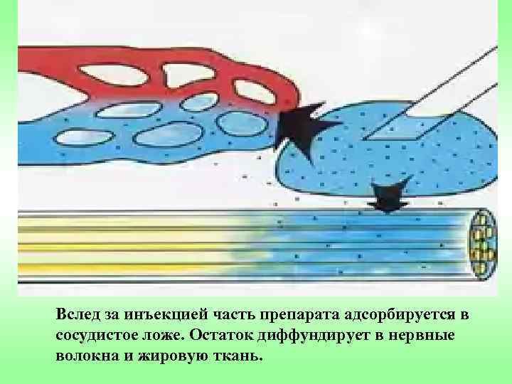 Вслед за инъекцией часть препарата адсорбируется в сосудистое ложе. Остаток диффундирует в нервные волокна