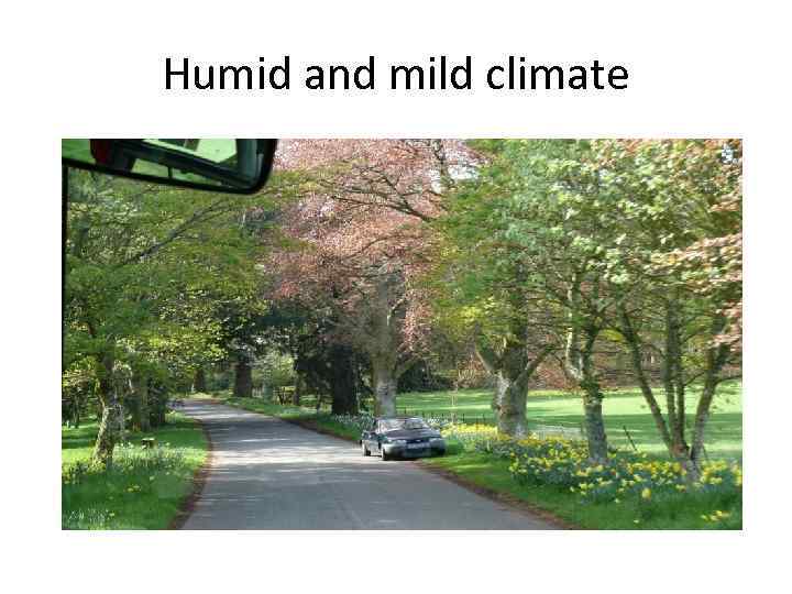 Humid and mild climate 