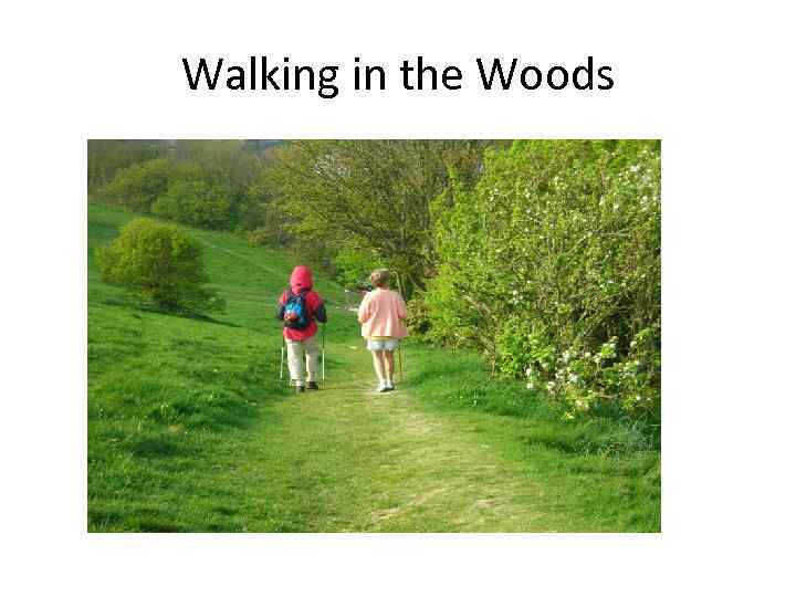 Walking in the Woods 