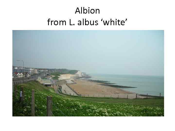 Albion from L. albus ‘white’ 