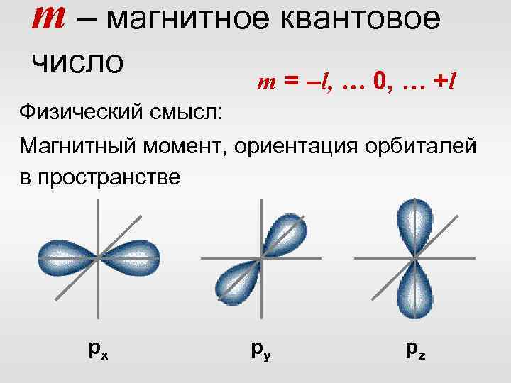 m – магнитное квантовое число m = –l, … 0, … +l Физический смысл: