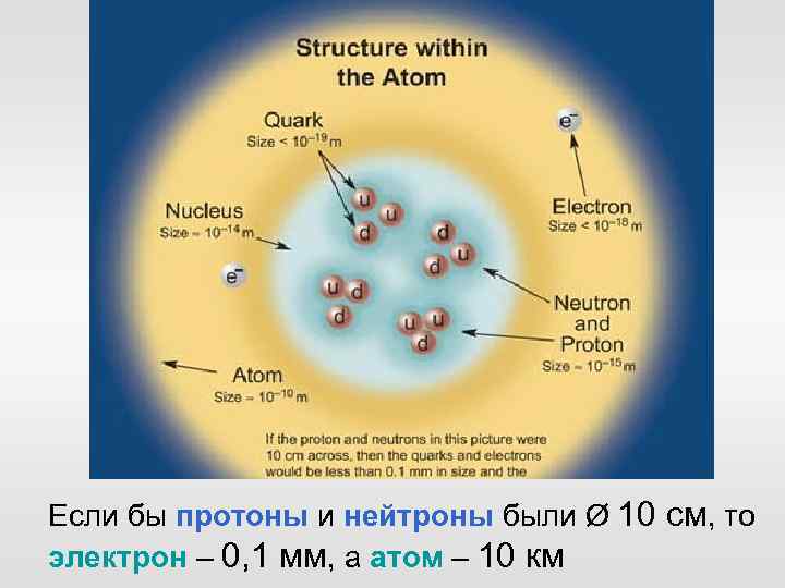 Если бы протоны и нейтроны были Ø 10 см, то электрон – 0, 1